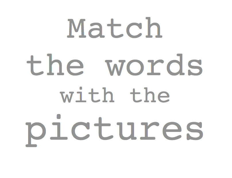 Match words and pictures