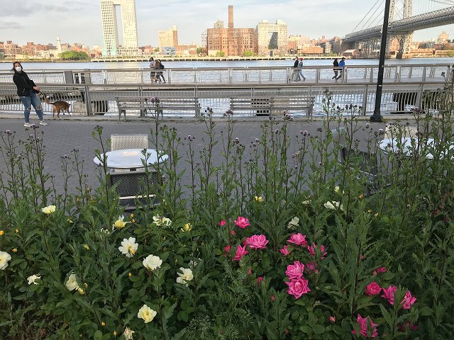 East River Park