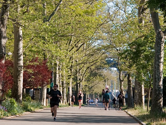 bikeway near highway